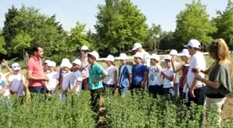 Tekirdağ'da Çocuk Tarım Kampı