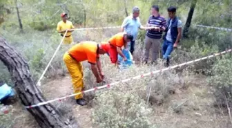 Mersin'de Odüh Envanter Planlama Çalışmaları Devam Ediyor