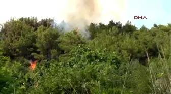 Alanya'da Orman Yangını