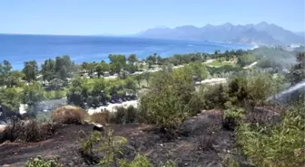 Konyaaltı Beach Park'ta Çıkan Yangın Paniğe Neden Oldu