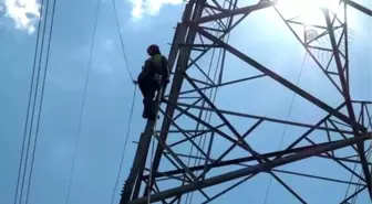 Yüksek Gerilim Hatlarının 'Cambaz'Ları