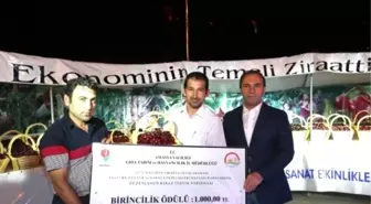 Amasya'nın Kirazları Yarıştı