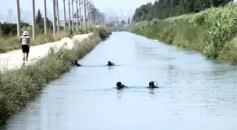 3 Kız Kardeşten En Acı Koşu