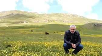 Büyük Tepkilere Neden Olan 'Yeşil Yol Projesi' Tüm Hızıyla Sürüyor