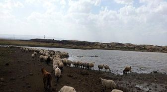 Gölet Yapım ve Onarım Çalışmaları Sürüyor