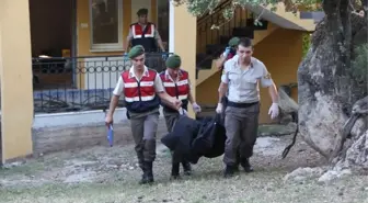 İkiz Bebek Bekleyen Karısını Öldürüp İntihar Etti