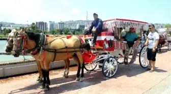 Samsun Sahilinde Nostaljik Gezi