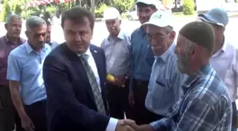 Büyükşehir Belediyesinden Yetiştiricilere Ana Arı Desteği