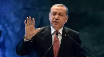 Erdoğan'dan Erol Evgin'e Tepki: Bunlar Ne Cins Adamlar