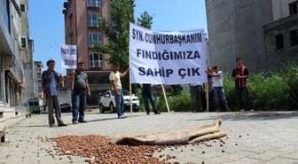 Üreticilerden Fındık Protestosu