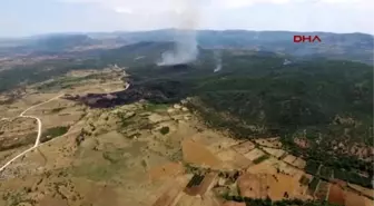 Lice'de Piyasa Değeri 1.5 Milyar Lira Olan Uyuşturucu Bulundu