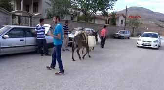 Konya - 30 Gündür Eşeklerle Evlerine Su Taşıyorlar