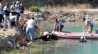 Serik'te Gölete Giren İki Kuzenden Biri Boğuldu