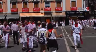 İspanya'da San Fermin Festivali - Bravo İsimli Özel Irk Boğalar Halkın Ziyaretine Açıldı