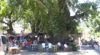 Diziyle Ününü Arttıran Bayır'a Tatilci İlgisi