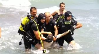 Karadeniz'de Can Pazarı! 3 Kardeş Boğulma Tehlikesi Geçirdi