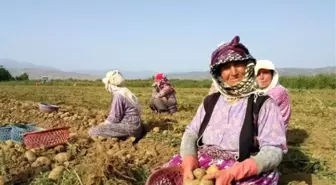 Herkes Denize Girdi, Emekçi Kadınlar 40 Derece Sıcağın Altında Çalıştı