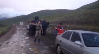 Ayı Saldırısı: 2 Ölü, 2 Yaralı