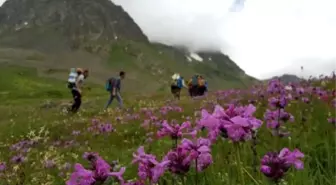 Dağcılar, Temmuz Ayında Buzlarla Kaplı Kaçkarlar'a Zirve Yaptı