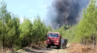 Kütahya'da Orman Yangını