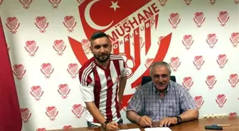 Ali Sakal, Gümüşhanespor'da