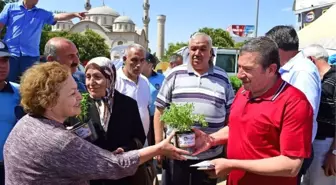 Haşereyle Mücadelede Doğal Yöntemler de Tercih Ediliyor