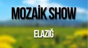 Mozaik Show - Elazığ (Konuklar : Fatih - Şebnem Kısaparmak)