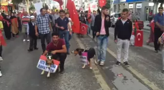 Fetö'nün Darbe Girişimine Tepkiler