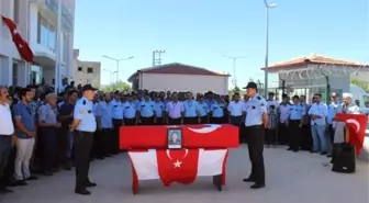 Fıstık Bahçesinde Çalışan Polis Memuru Kalp Krizinden Öldü