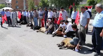 Köprüköy'de Şükür Kurbanı