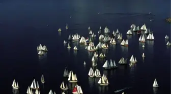 Doğaya olan tutkunun sergisi 'Renkleri ve Işığın Dans'