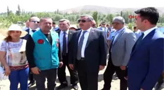 Burdur'da Lavanta Hasadı Başladı