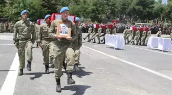 Hakkari Şehitleri Memleketlerine Uğurlandı