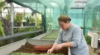 Salihli'de Peyzaj Çalışmaları Devam Ediyor