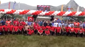 Gökbel'de Başpehlivan Yeşil Yeşil