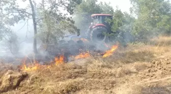 Hayrabolu'da Ormanlık Alanda Yangın Çıktı