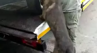Höh' Otomobili Kısıklı'daki 'Demokrasi Nöbeti'ne Götürüldü, Polis Arama Yaptı