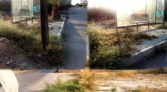 Toroslar'da manzara aynı!