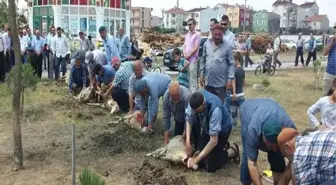 Darbe Püskürtüldüğü İçin Kurban Kestiler