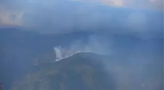 Erbaa'da Orman Yangını