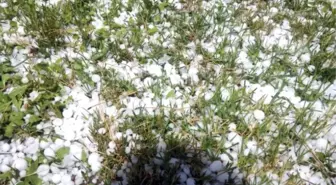 Erdemli'nin Yüksek Kesimlerini Dolu Vurdu