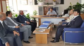 Kutso, Tapu Sicil'de