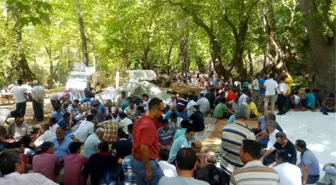 Okur: Cemaat ve Tarikatlar Devletten Elini Çekmeli