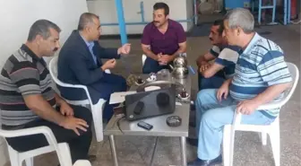 Elazığ Su Ürünlerinde Önemli Bir Potansiyele Sahip