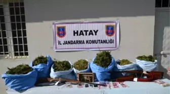 Hatay'da Uyuşturucu Operasyonları