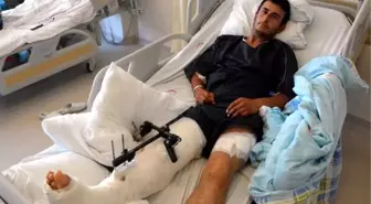 Ayının Saldırdığı Balıkçılar: Vurulmasa Bizi Öldürecekti