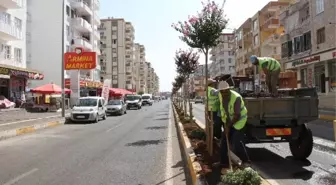 Bağlar Belediyesi'nin Yeşillendirme Çalışmaları Devam Ediyor