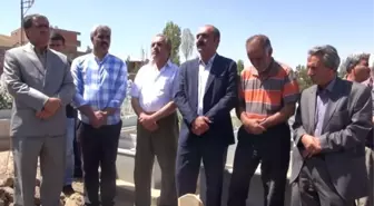 Hdp'li Milletvekili PKK'lı Cenazesine Katıldı