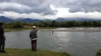 İneğin Peşinden Gittiği Adacıkta Mahsur Kaldı