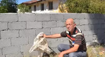 Denizli'de Okul Bahçesinde İki El Bombası Bulundu